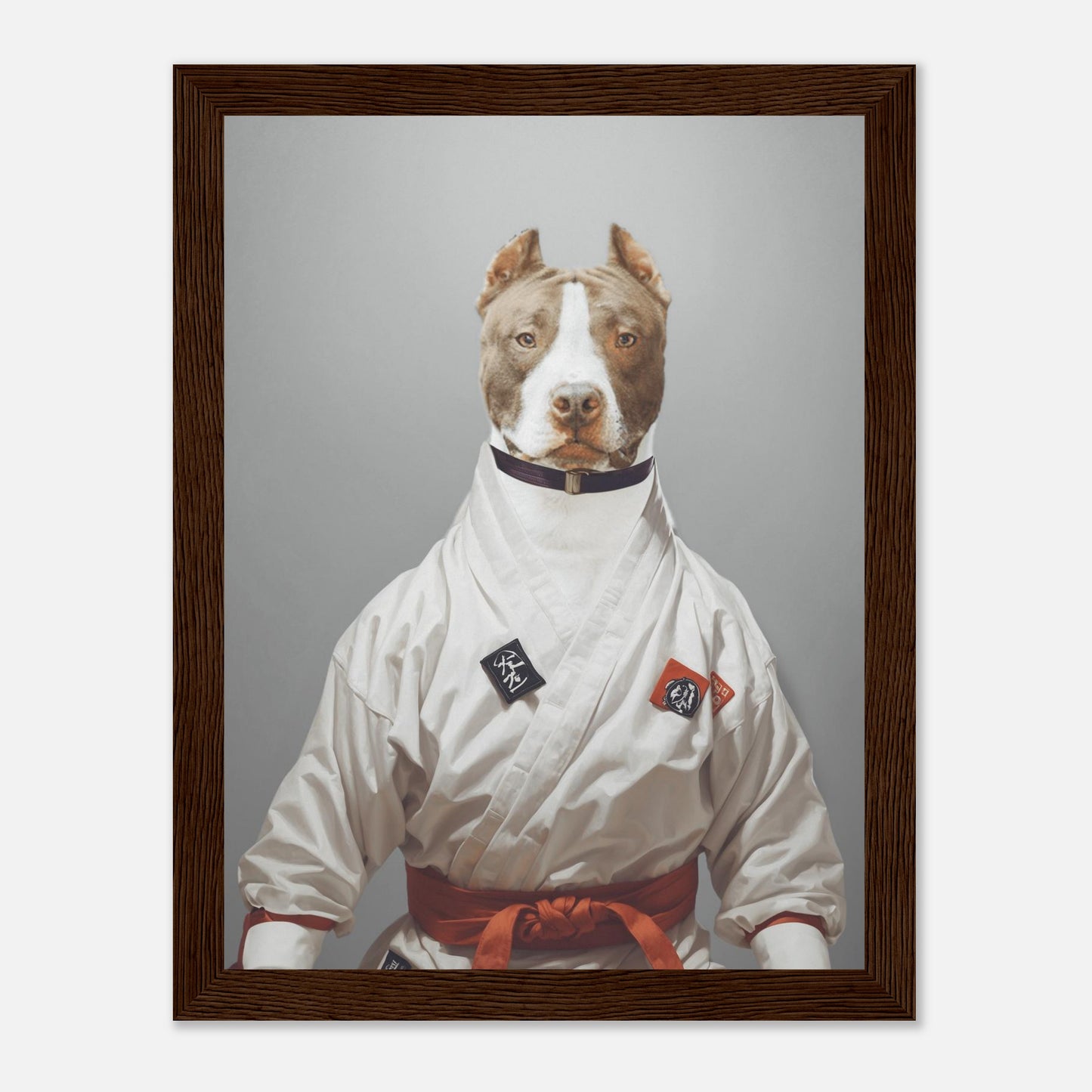 Karate Maestro