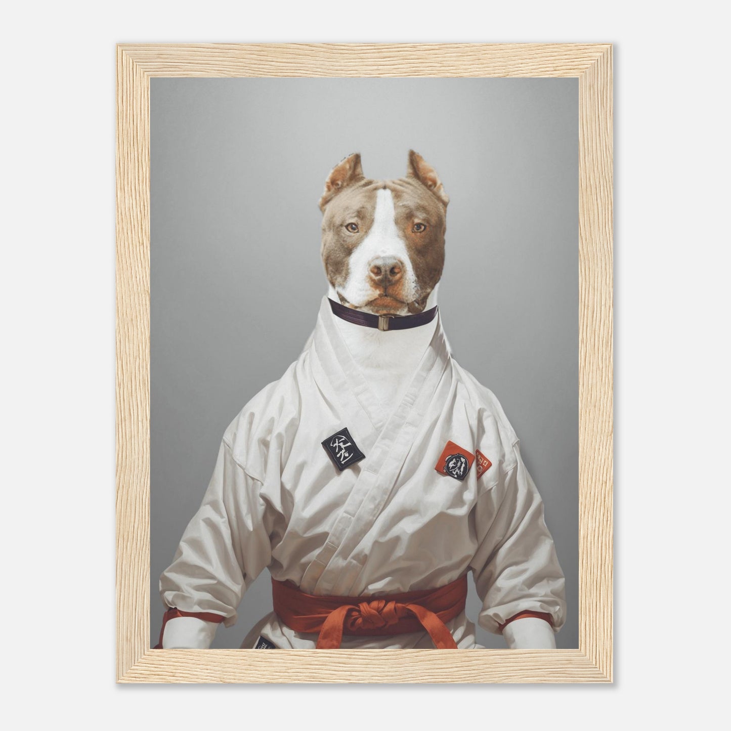 Karate Maestro