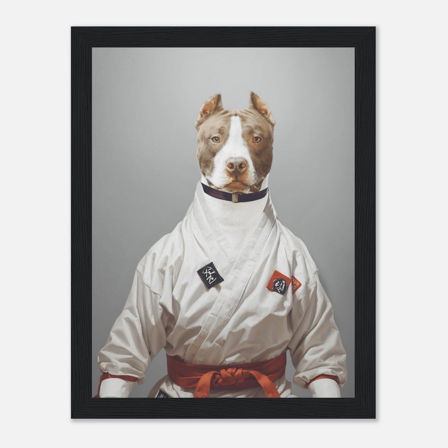 Karate Maestro