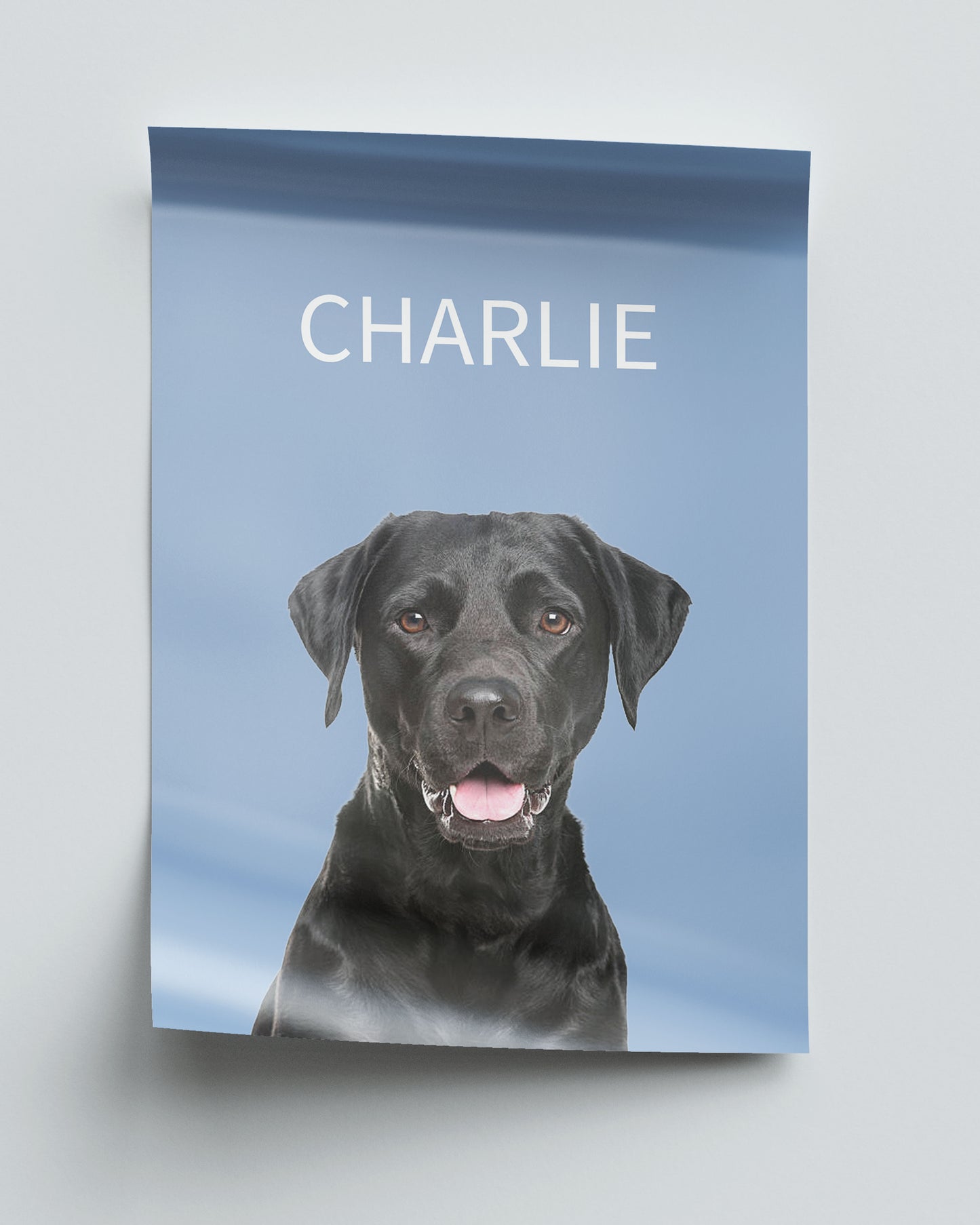 Elegant - Dusty blue