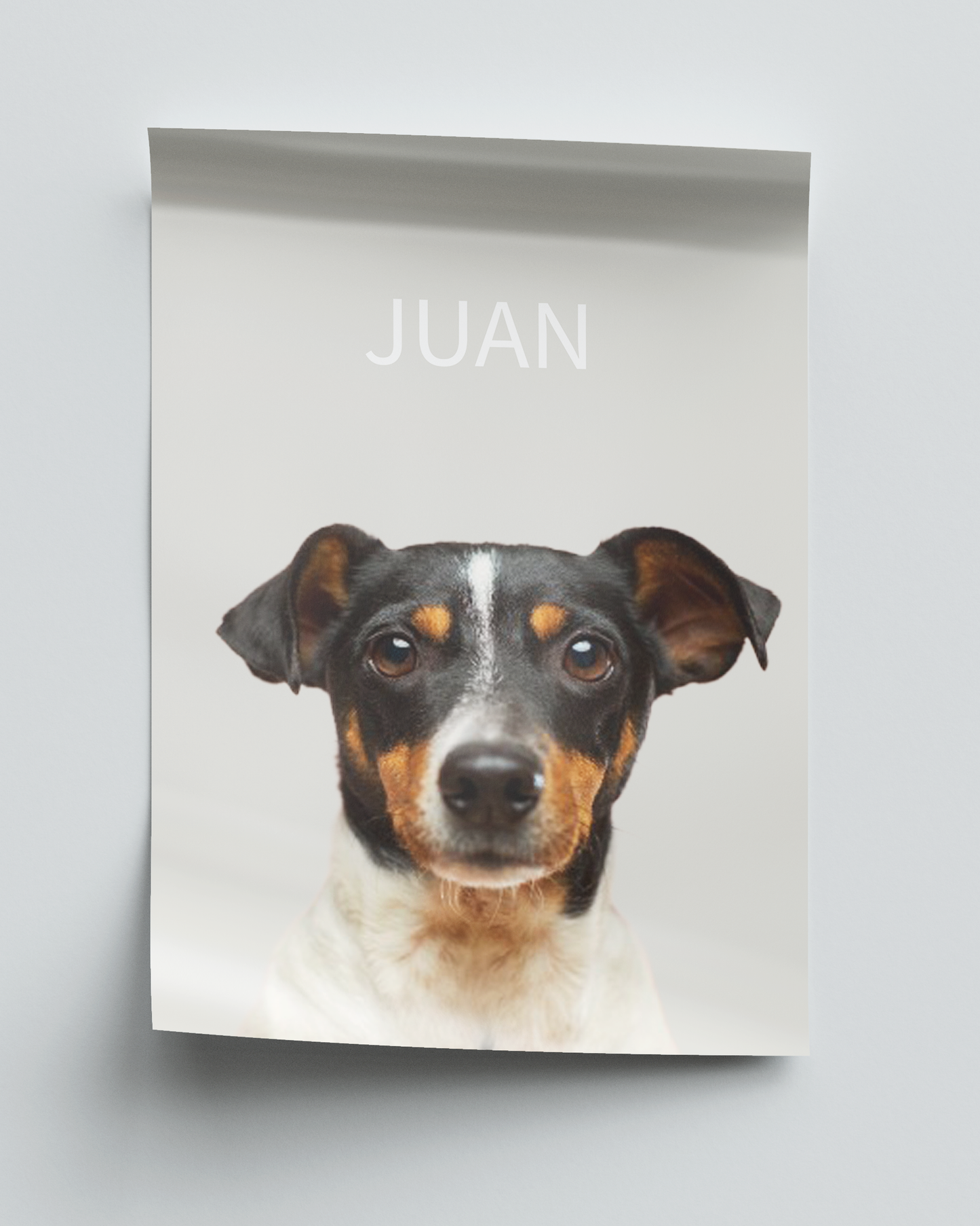 Elegant - Dusty grey