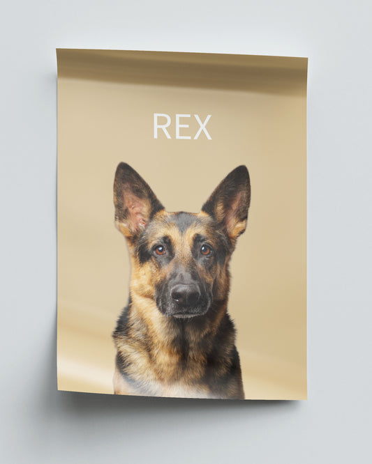 Elegant - Dusty sand